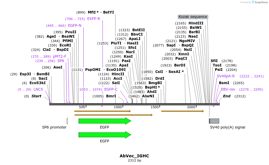 356120_map