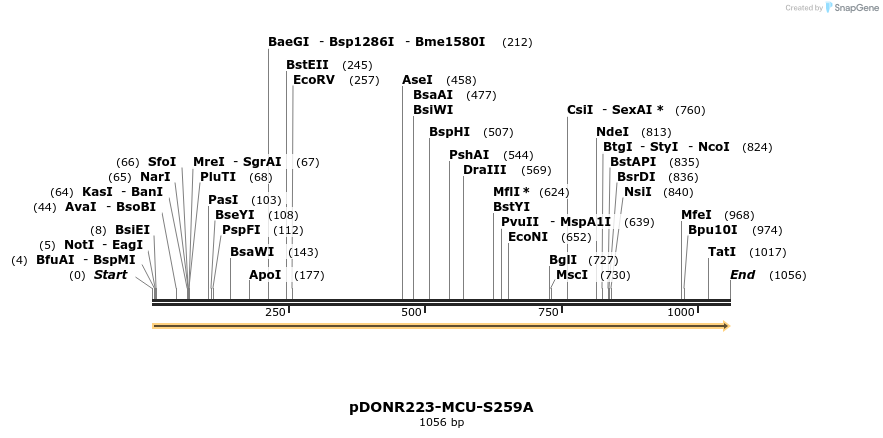 35617_map