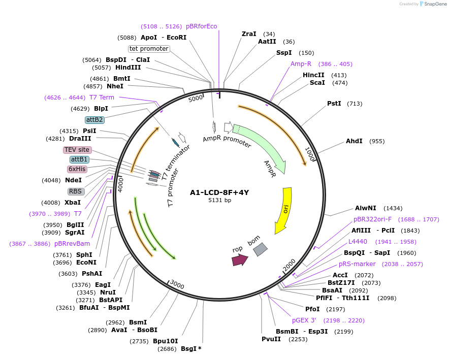 356201_map