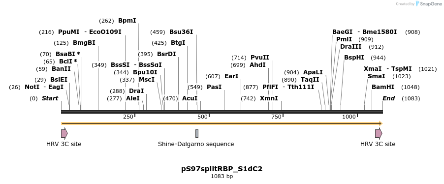 356319_map