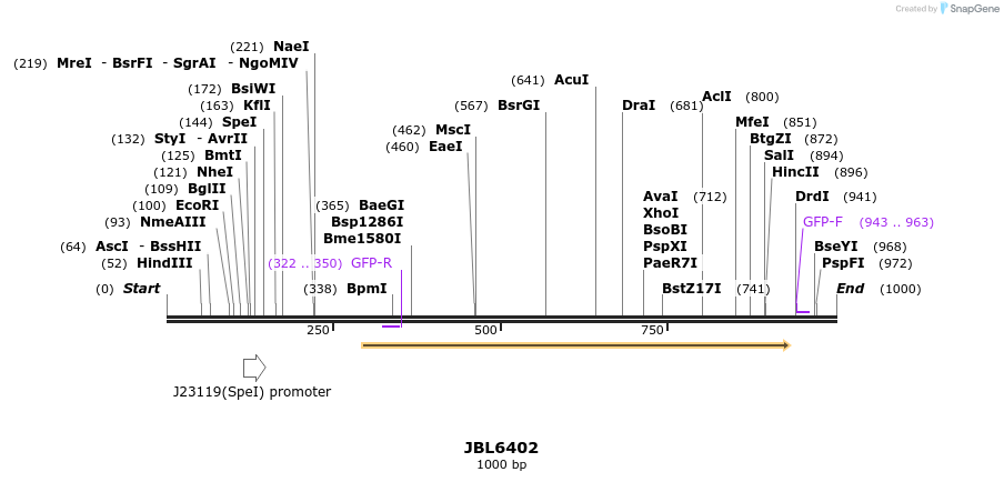356322_map