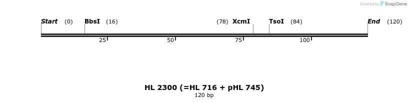 35640_map