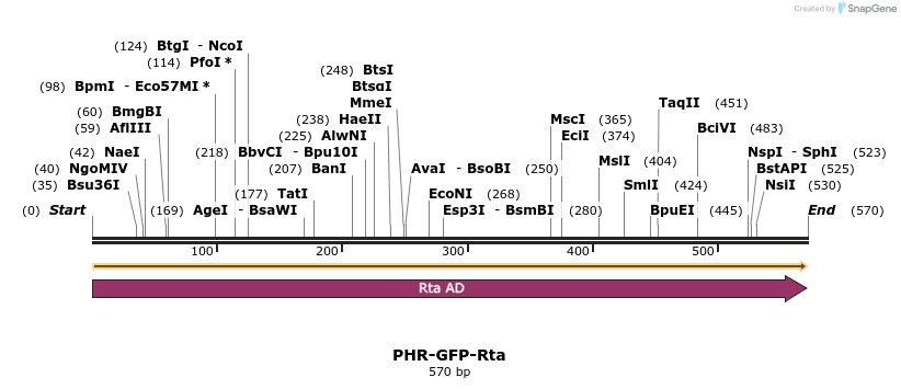 356515_map