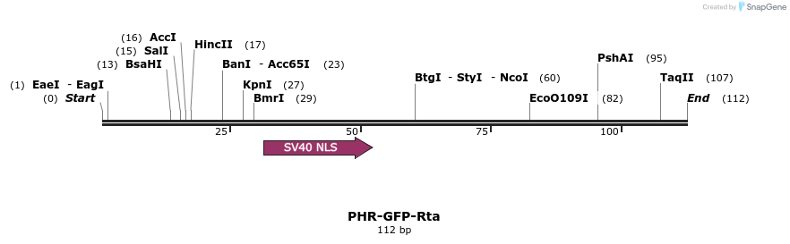 356516_map