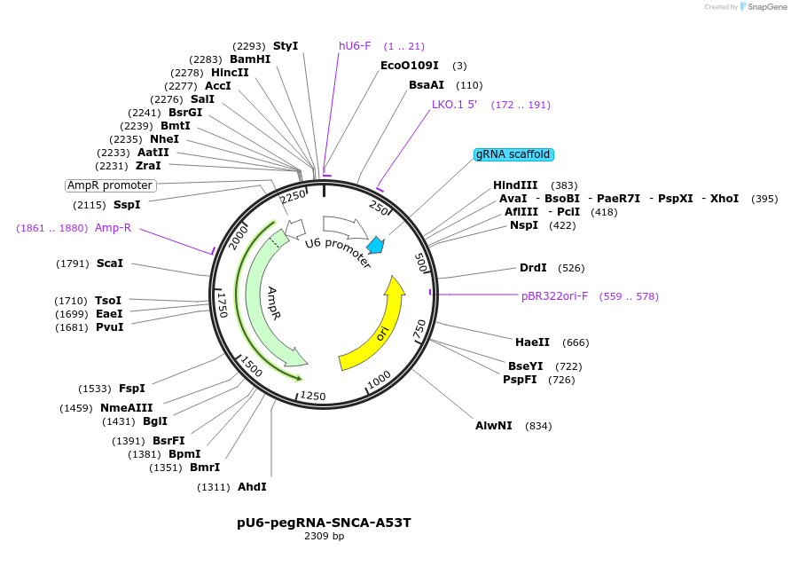 356611_map