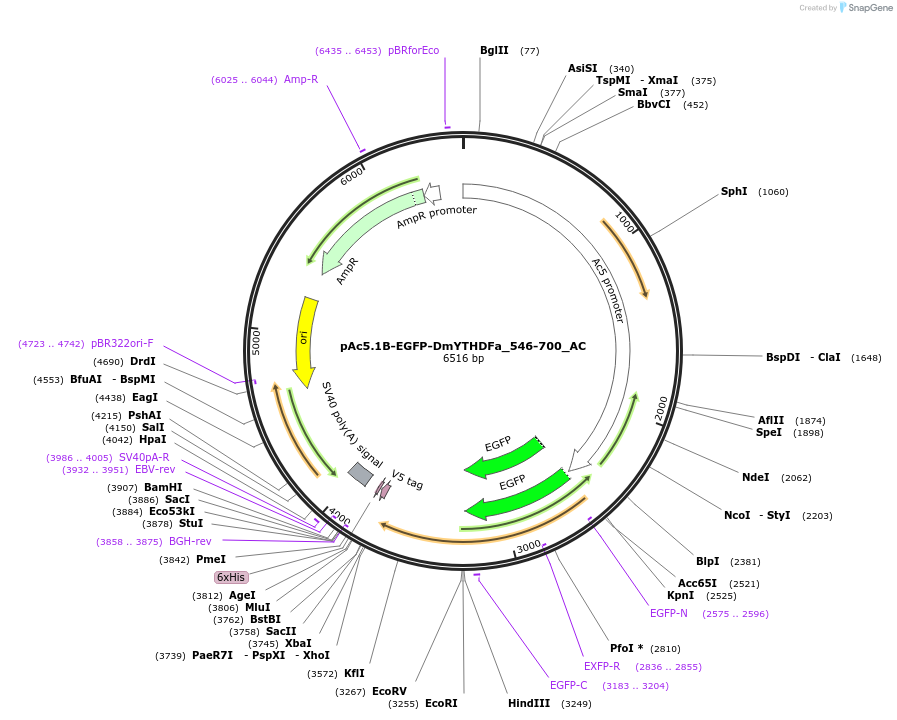 356619_map