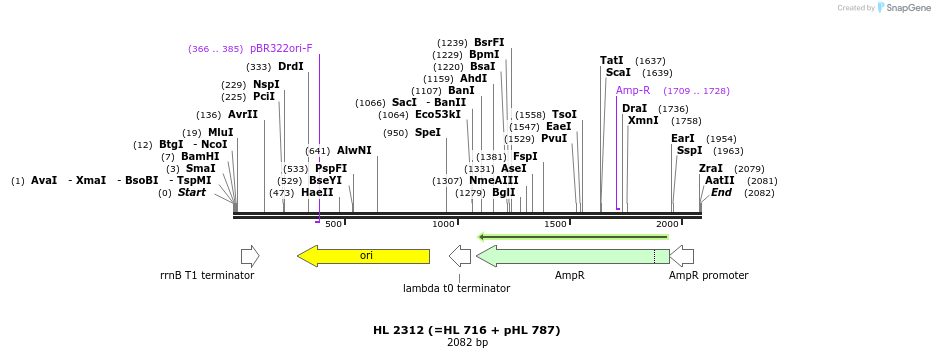 35666_map