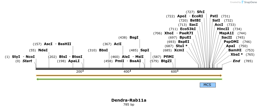 356722_map