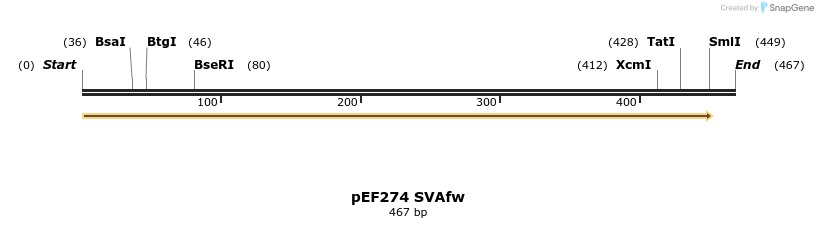 356775_map