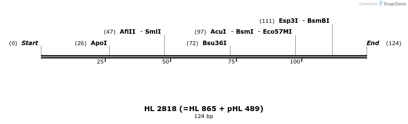 35686_map
