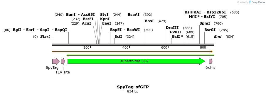 357006_map