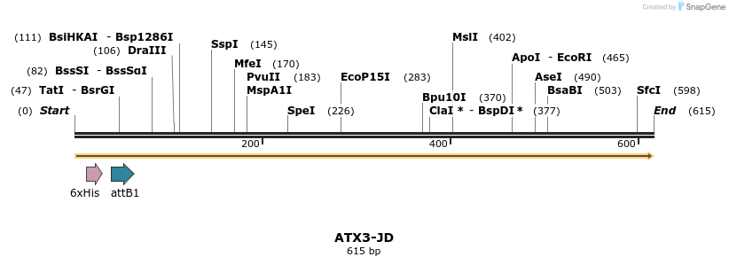 357029_map