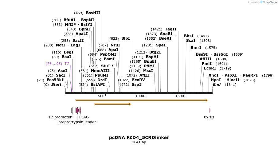 357038_map