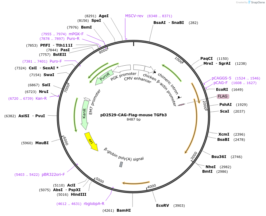 357081_map