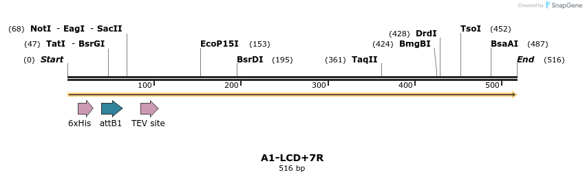 357171_map
