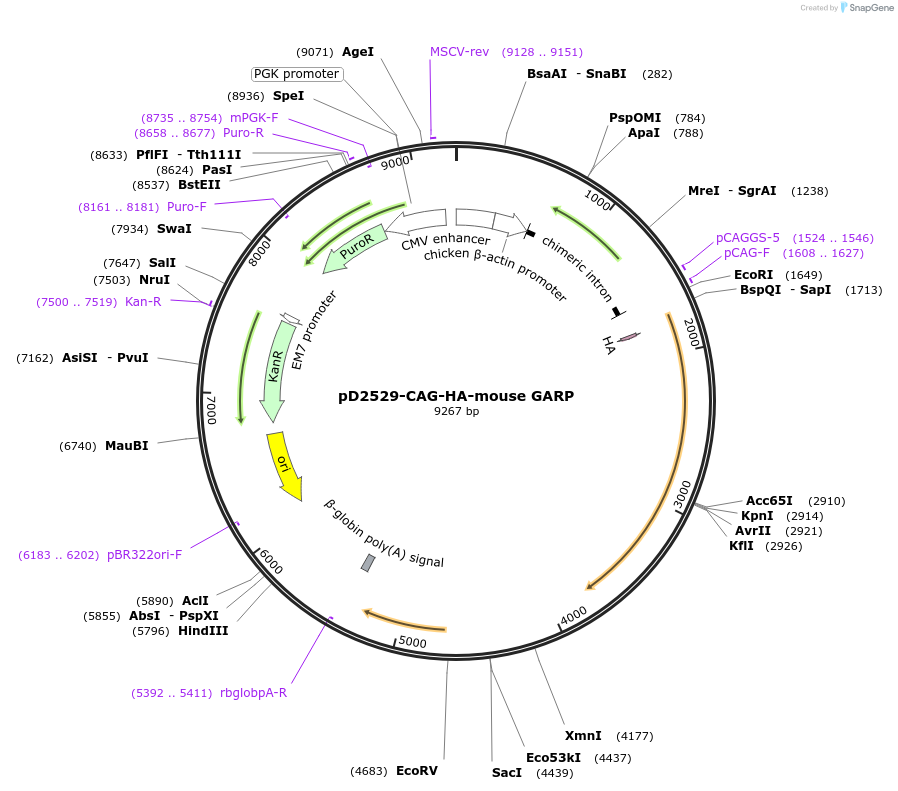 357201_map