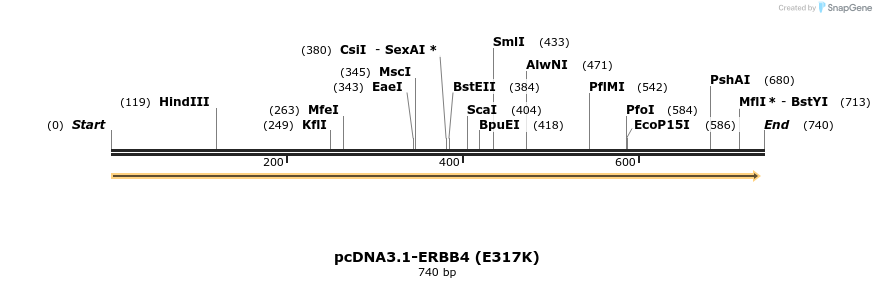 35730_map
