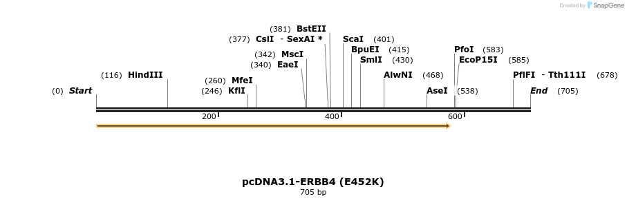 35731_map