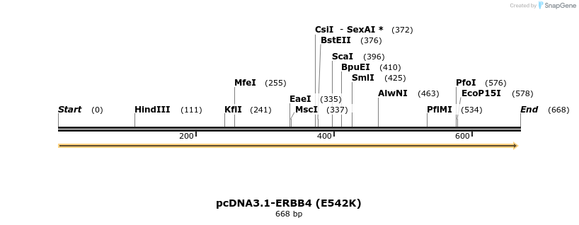 35732_map