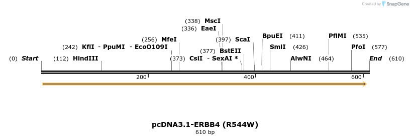 35733_map