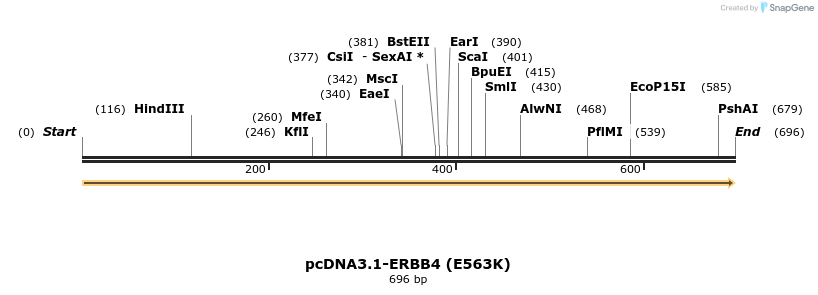35735_map