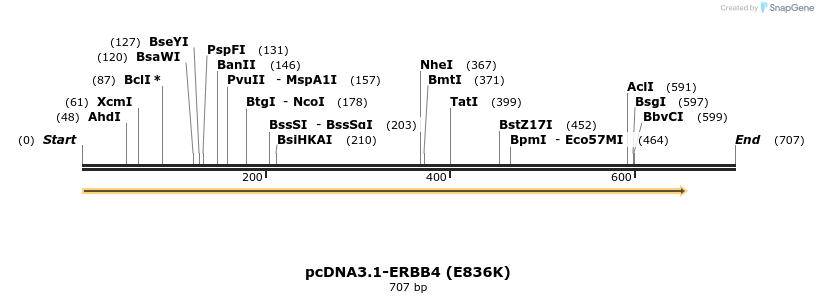 35738_map