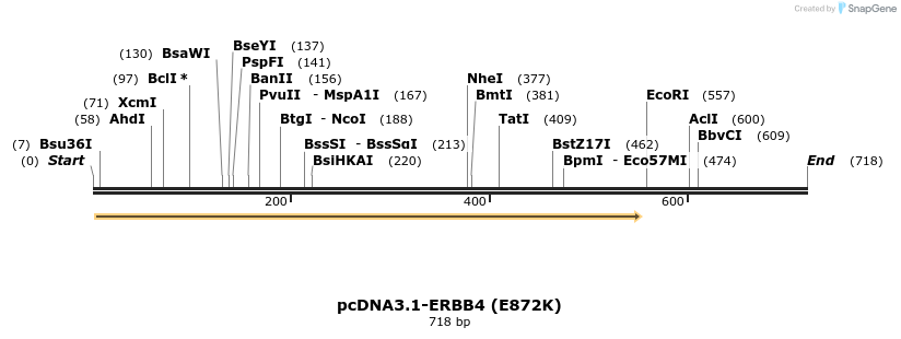 35739_map
