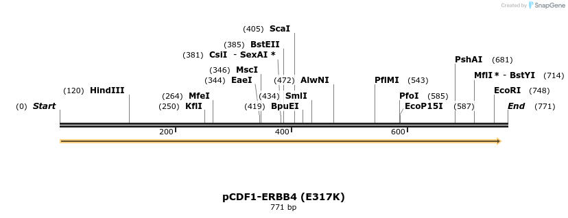 35740_map