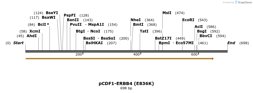 35742_map