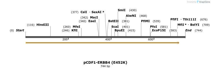 35744_map