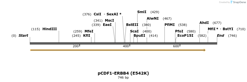 35745_map