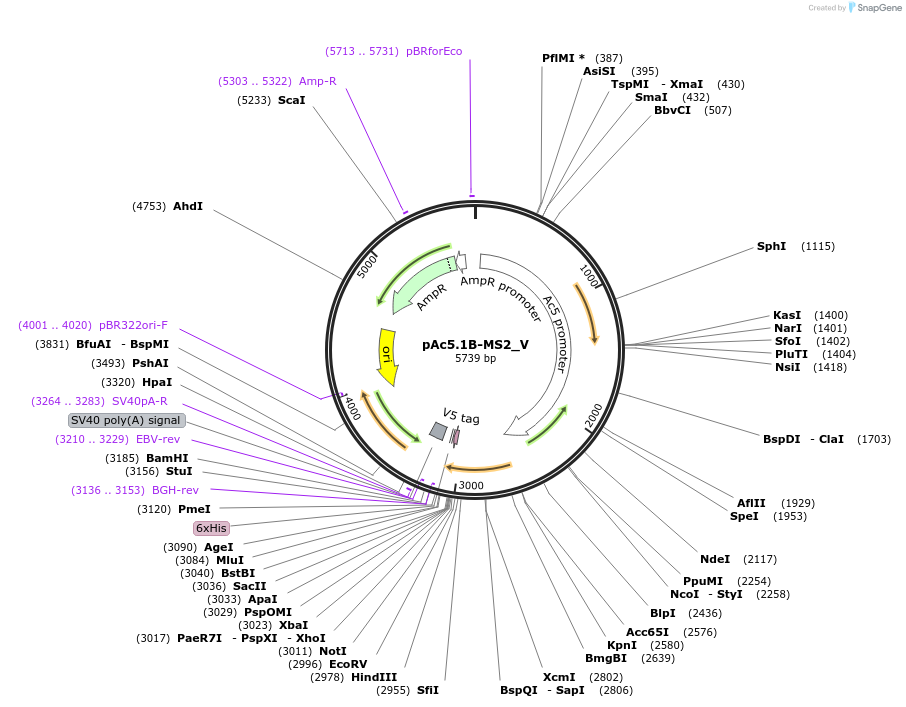 357450_map