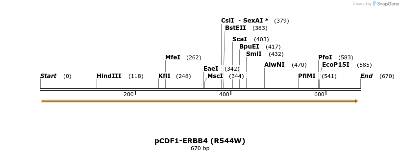 35746_map