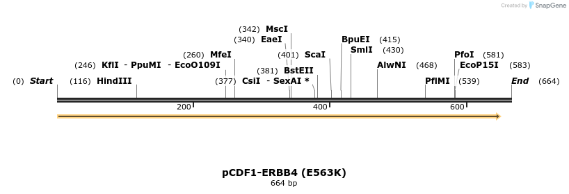 35747_map