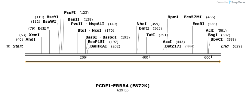 35749_map