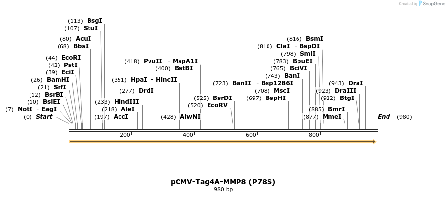35750_map