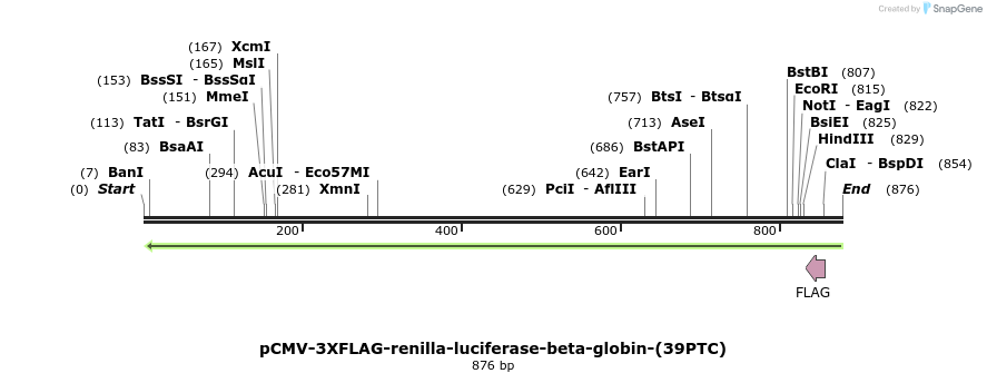 357505_map