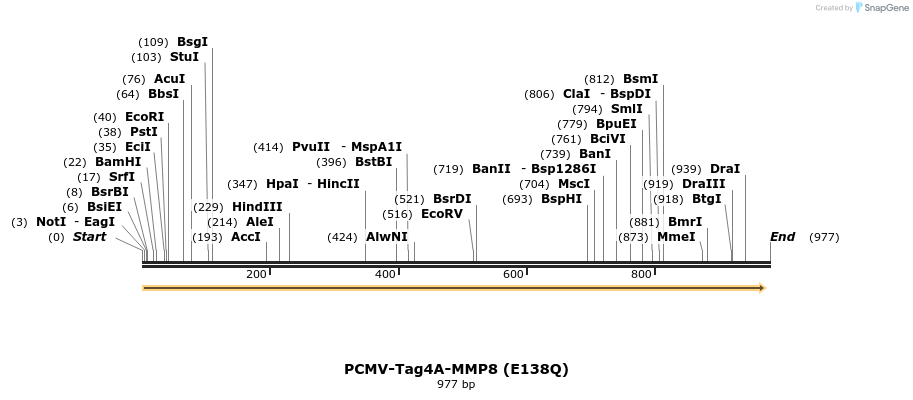 35754_map
