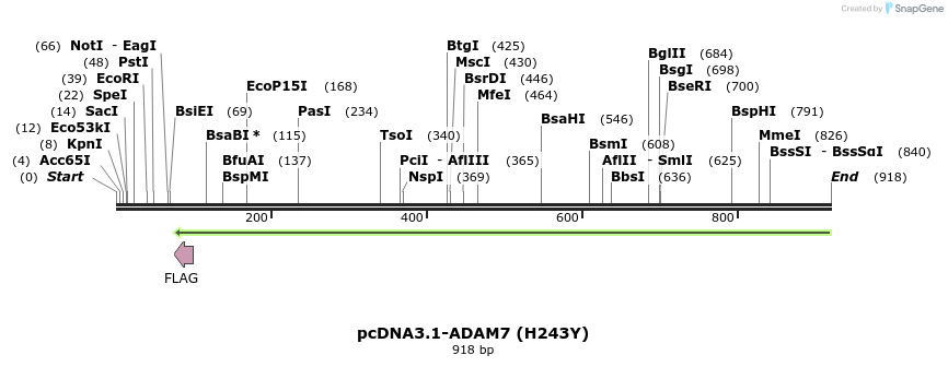 35757_map