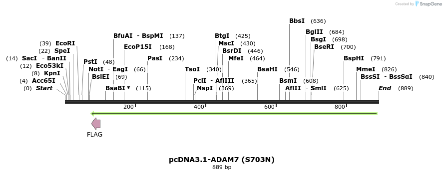 35760_map