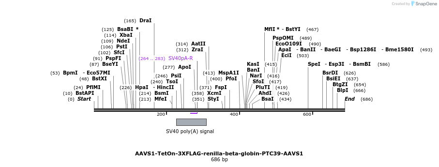 357601_map