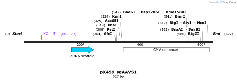357606_map