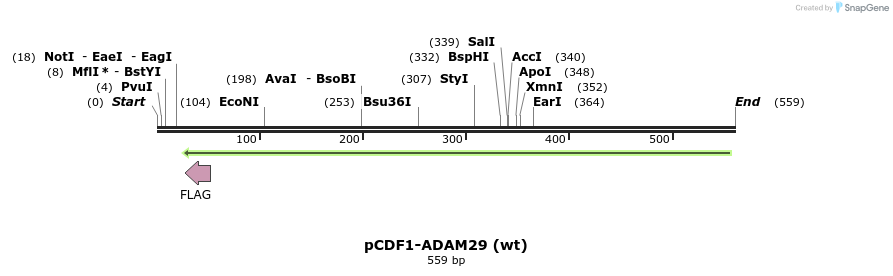 35761_map