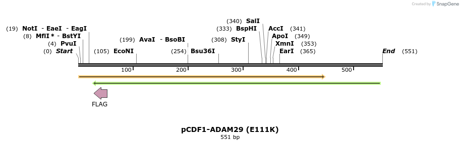 35762_map