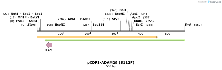 35763_map