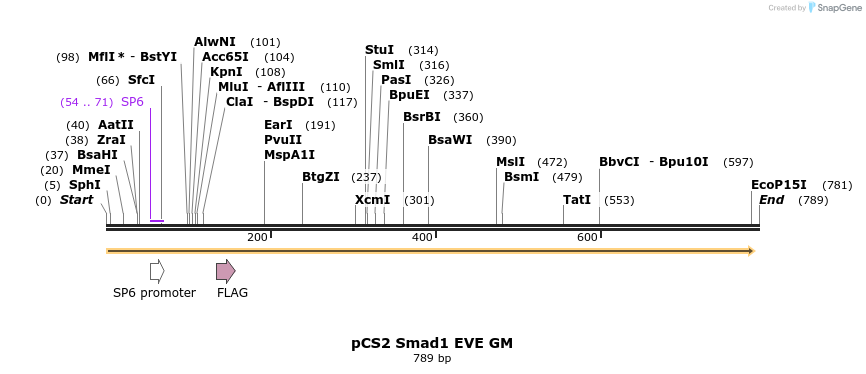35771_map