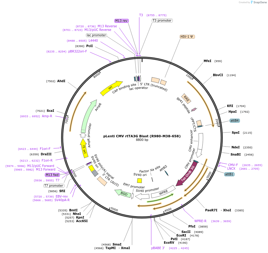 35777_map