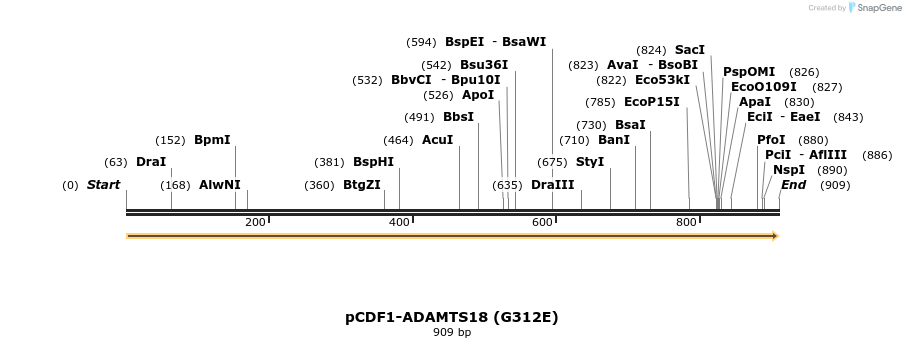 35786_map