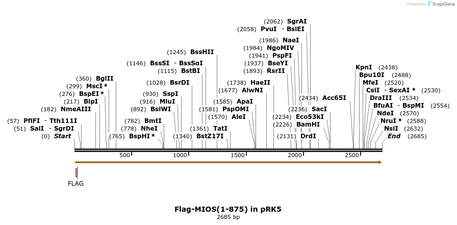 357861_map