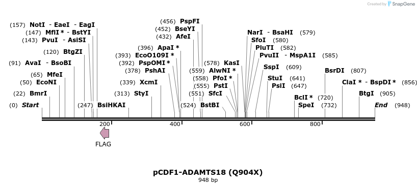 35791_map